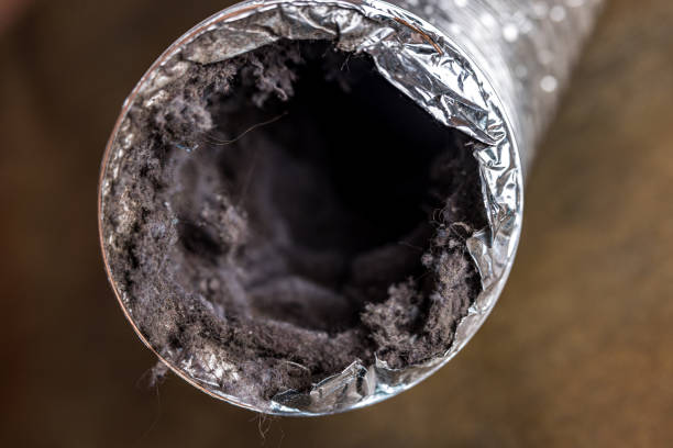 Best HVAC System Cleaning  in Jessup, PA